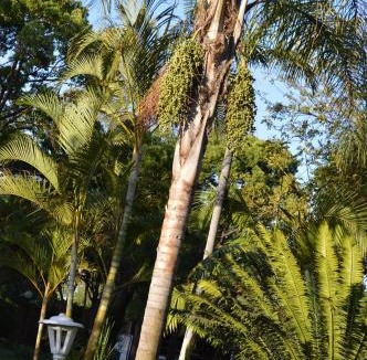 Rustenburg House | Franka Guesthouse