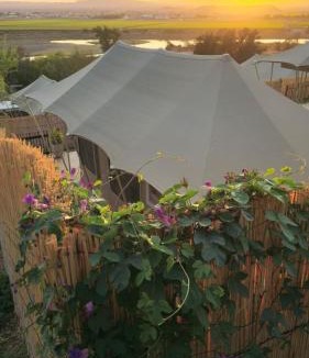 Vioolsdrift Settlement Resort | Frontier River Resort