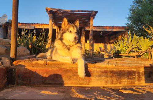 Vioolsdrift Settlement Resort | Frontier River Resort