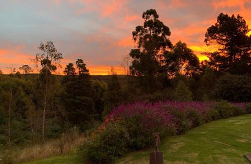 Hogsback Apartment | Further Beyond