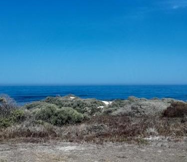 Pearly Beach Ski Chalet | Fynbos and Coffee
