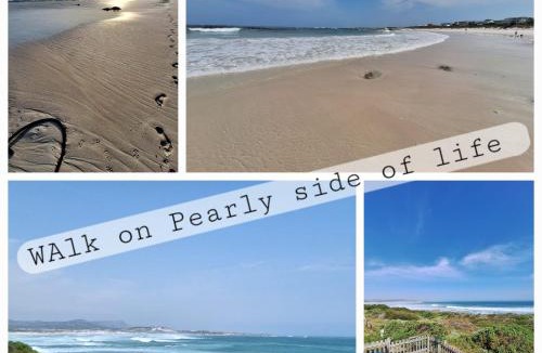 Pearly Beach Ski Chalet | Fynbos and Coffee