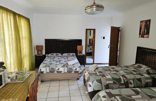 Vereeniging House | Garden Corner Guesthouse
