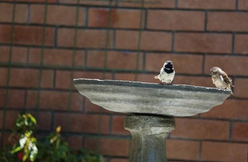 Fish Hoek Apartment | Garden of Eden