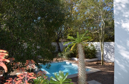 Prince Albert Cottage | Gecko Cottages - Large Gecko