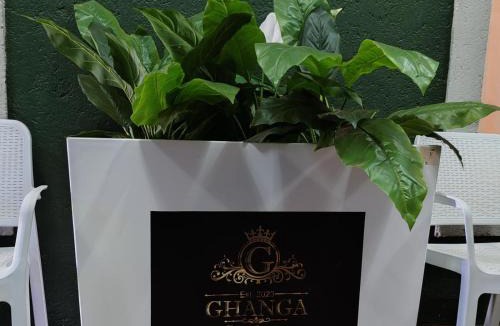Tsantsabane House | Ghanga Guesthouse