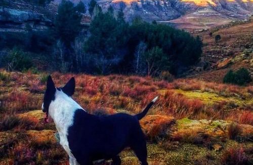 Senqu House | Glengyle Guest Farm