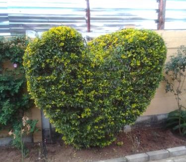 Polokwane House | GLORIA'S GUESTS.COM
