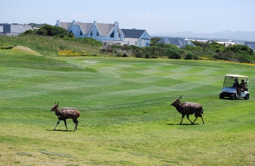 Saint Francis Bay Apartment | Golf /Lifestyle Estate, Sunshine all year Best part of South Africa sleep 2