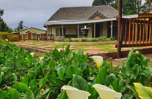 Drakensberg Gardens Ski Chalet | Gooderson Leisure Mountain View Cottages Self Catering and Timeshare Resort