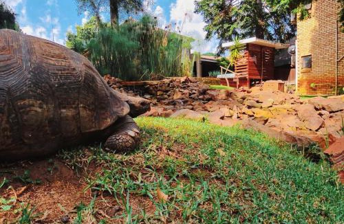 Bedfordview Hotel | Goodnight Guest Lodge