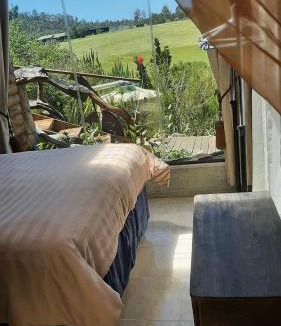 Knysna Apartment | Green room