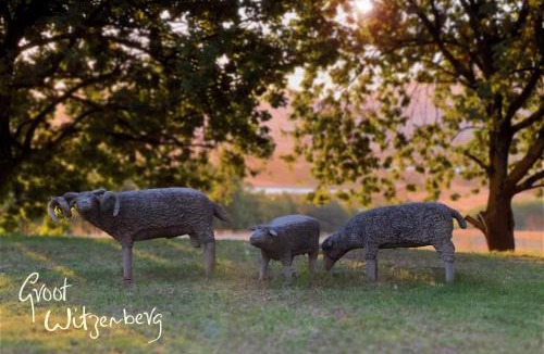 Tulbagh Villa | Groot Witzenberg - Beautiful Manor house In the picturesque Tulbagh