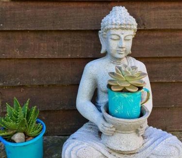Greyton Apartment | Gypsy Mama in Greyton