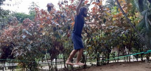Hazyview Hostel | Hazyview Adventure Backpackers