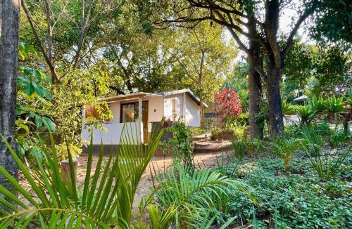 Hazyview Hostel | Hazyview Adventure Backpackers