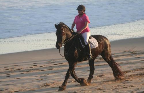 Port Elizabeth Apartment | Heavenly Stables Self Catering Accommodation