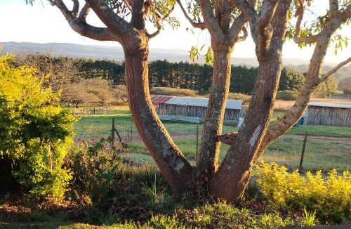 Merrivale Hostel | Heights
