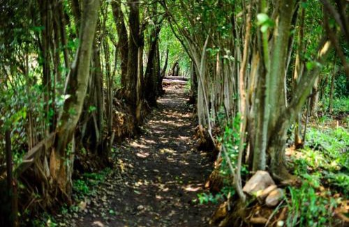 Magaliesberg Hotel | Hibon Lodge