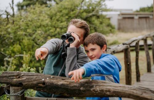 Paterson Cabin | Hlosi Game Lodge - Amakhala Game Reserve