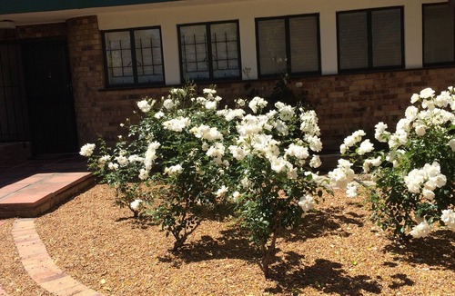 Stellenbosch Villa | Holiday Cottage, Sleeps 7, 5 beds, 4 bedrooms Private POOL, a summer requirement
