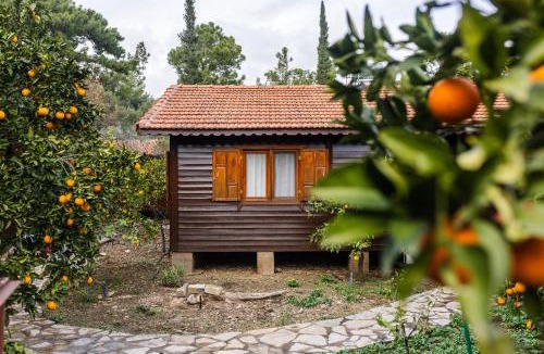 Cirali Villa | Holiday House Dilek Cirali Kemer Antalya