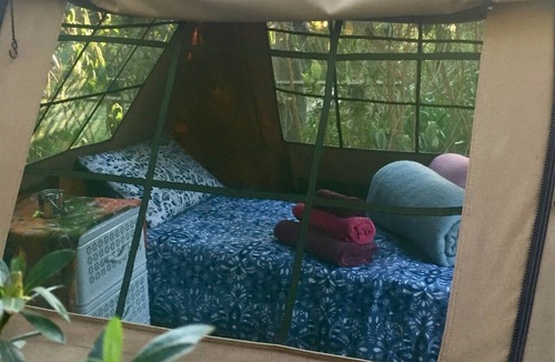 Storms River Cabin | Home Away from Home! The authentic SA accommodation experience