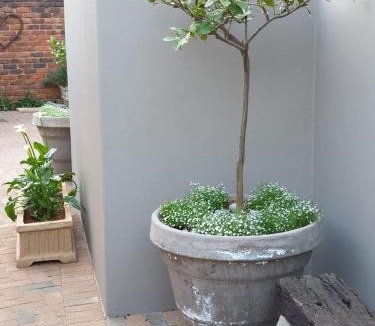 Garsfontein Apartment | @Home in the East