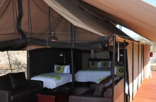 Thorny Bush Game Reserve Other | Honeyguide Tented Safari Camps - Mantobeni