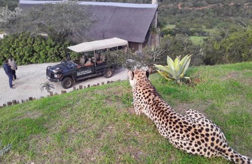Colchester Cabin | Hopewell Private Game Reserve