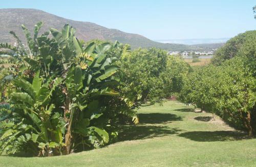 Noordhoek Apartment | Horizon Cottages