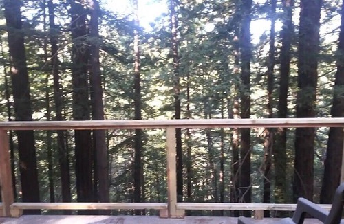 Los Gatos House | Hot tub treehouse in the redwoods