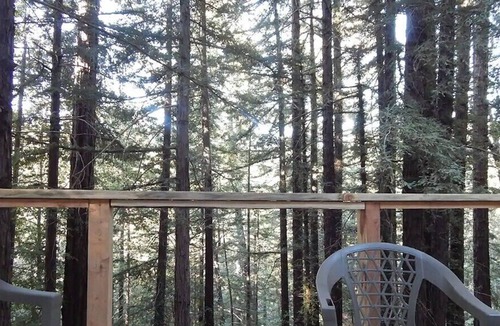 Los Gatos House | Hot tub treehouse in the redwoods