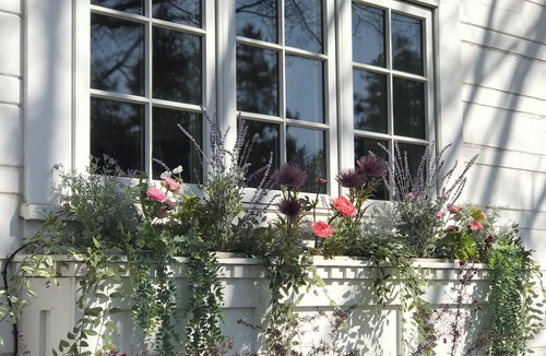 Lodi House | Hutchins House in Beautiful Downtown Lodi