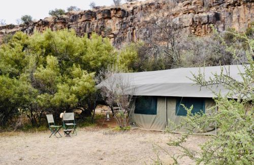 Inxuba Yethemba Other | Iliwa Camp Karoo
