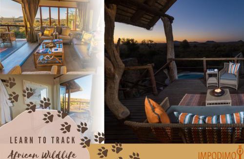 Madikwe Game Reserve Cabin | Impodimo Game Lodge