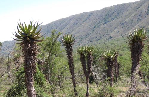 Sundays River Valley House | Intaba Lodge