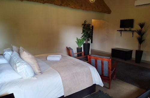 Vivo Other | Iphofolo Lodge & Tented Camp