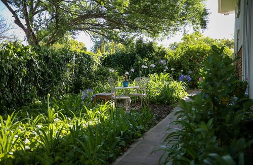Somerset West Apartment | IVY HOUSE - Super- Spacious - Spot - Somerset West