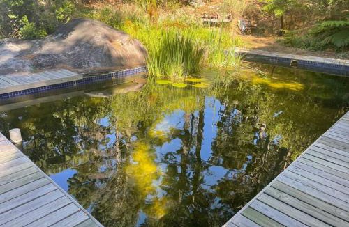 Hout Bay Apartment | Ixia studio-Serene, solar, pet friendly, garden and valley views