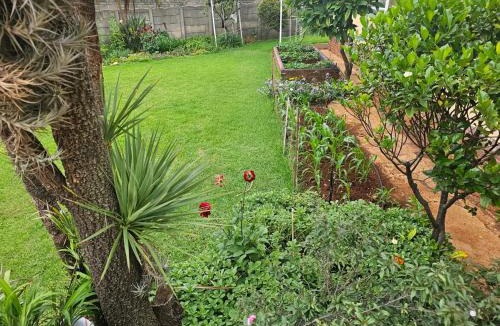 Greater Johannesburg Metropolitan Area House | J&M GuestHouse