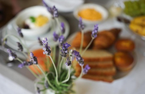 Reebok Bed & Breakfast | Julsie's Home