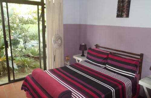 Port St Johns Hostel | Jungle Monkey Backpackers