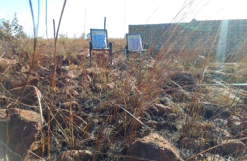 Soshanguve Other | KGOLA SAFARIS