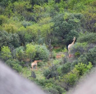 Kgetlengrivier Apartment | Khululeka Guest Farm