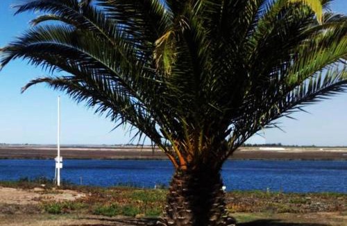 Velddrif Apartment | Kingfisher by the river - self catering
