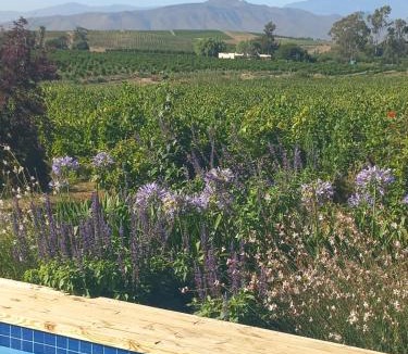 Langeberg House | Klaasvoogds Cottages