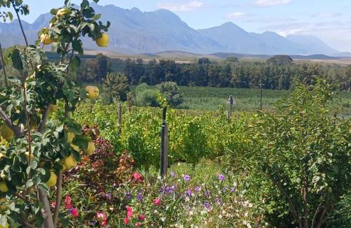 Langeberg Bed & Breakfast | Klaasvoogds Loft