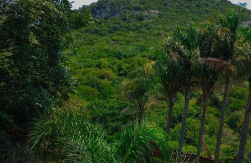 Makhado Apartment | Kneizenberg Boutique Lodge & Spa