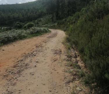 Knysna House | Knysna Tranquil 3 Bedroom Cabin